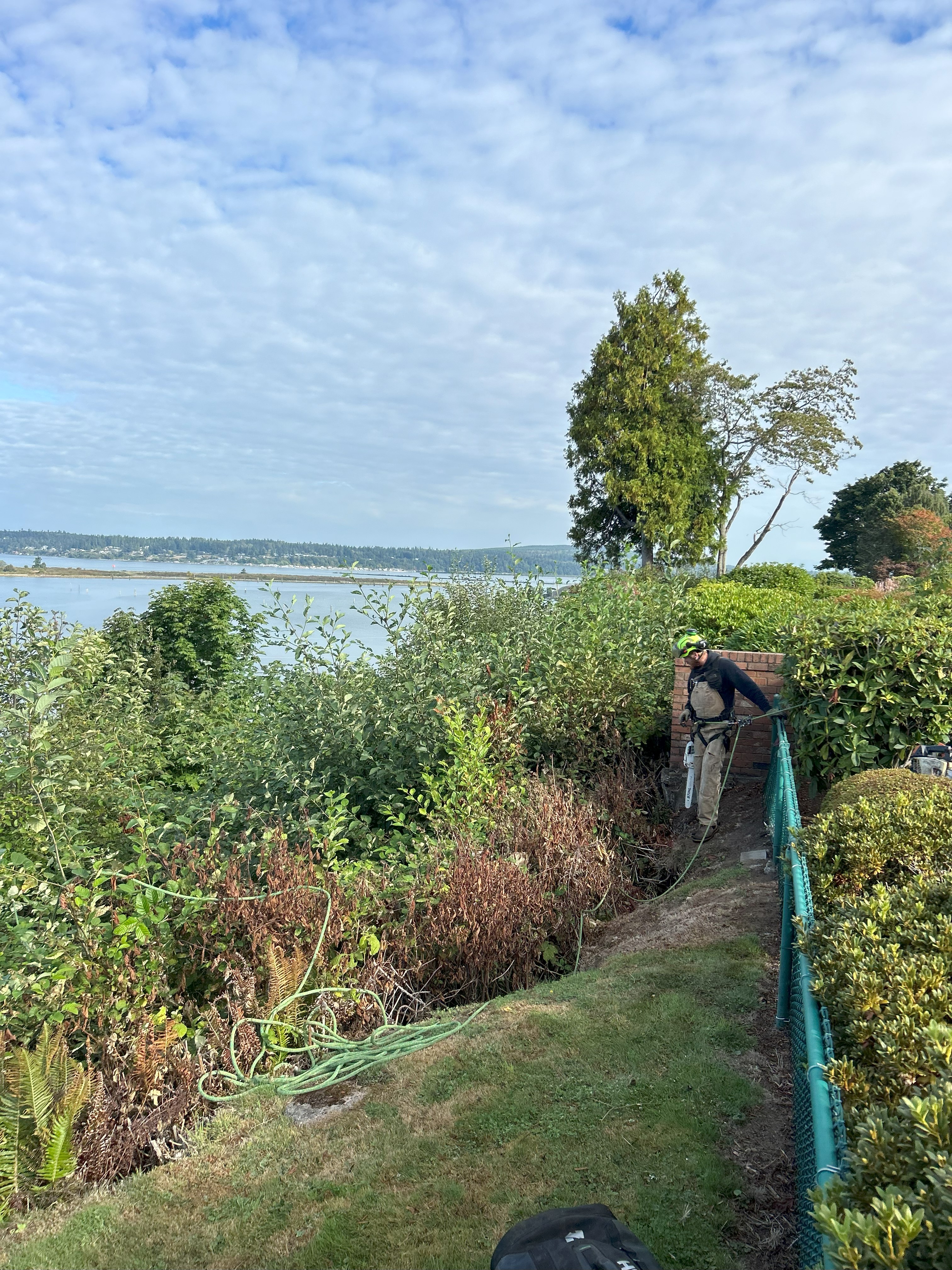 Vista Pruning
